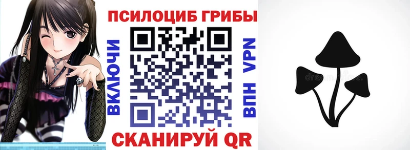 Купить закладки  Избербаш  Псилоцибиновые грибы Psilocybe 